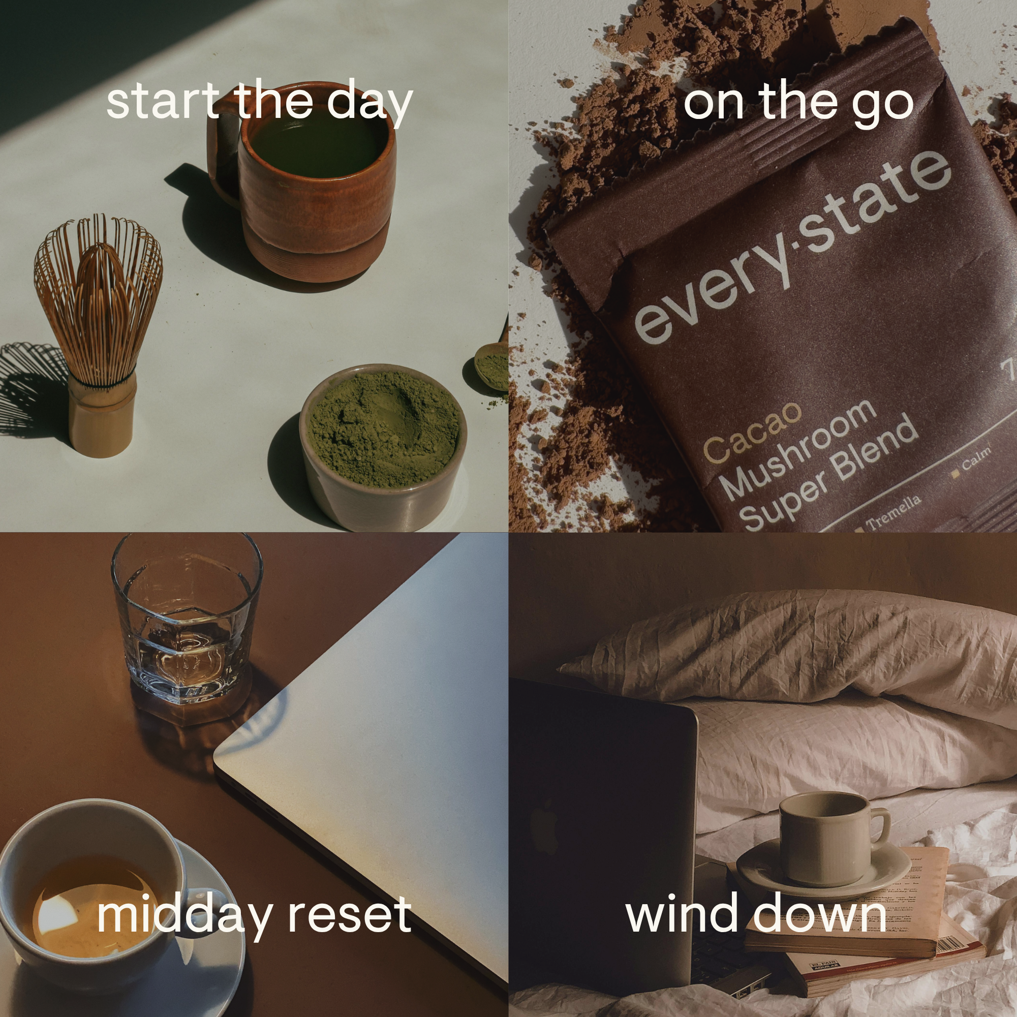 Cacao + Mushroom Super Blend