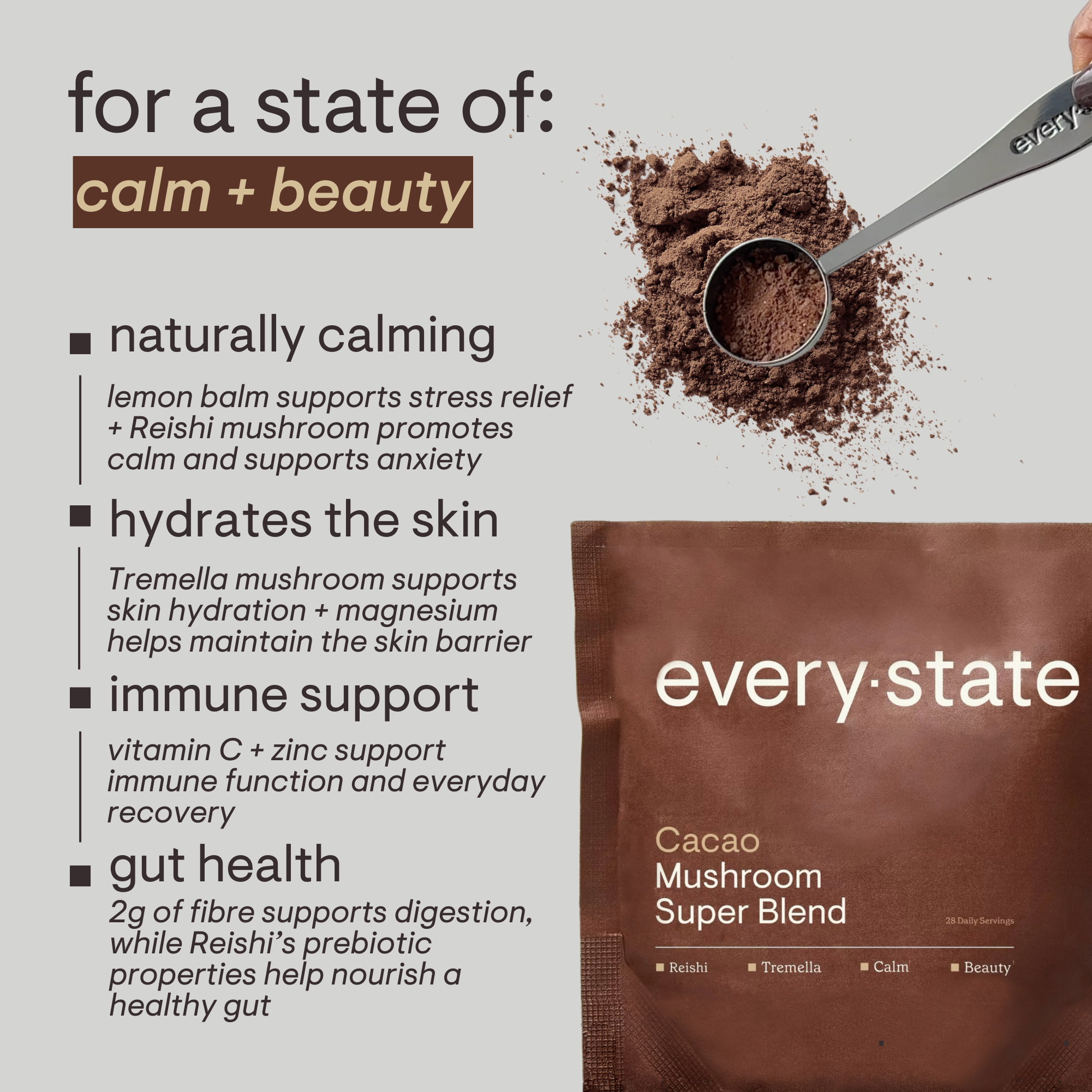 Cacao + Mushroom Super Blend